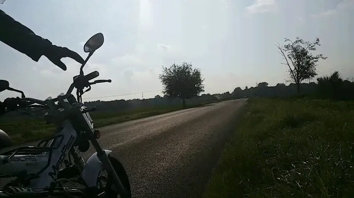 Sachs Madass in Action