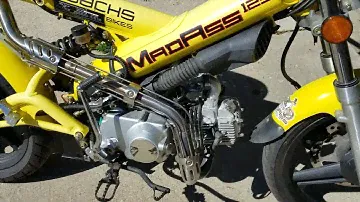 2010 Sachs Madass 125 Idle