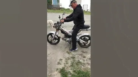 Sachs Madass